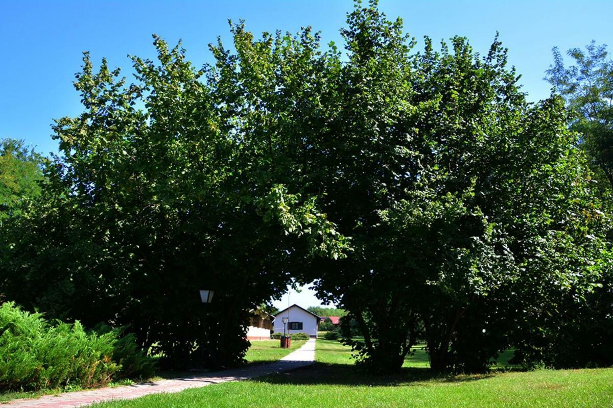 Sipito Pihenopark Hotel Pilis Kültér fotó