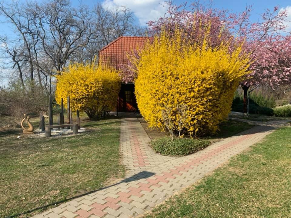 Sipito Pihenopark Hotel Pilis Kültér fotó